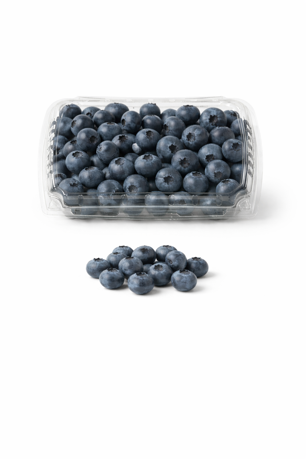 Jumbo Blueberries Container 11 oz - 8 Count